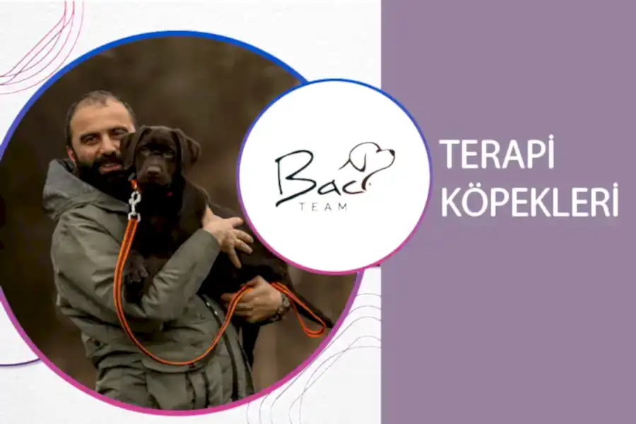 Terapi Köpekleri