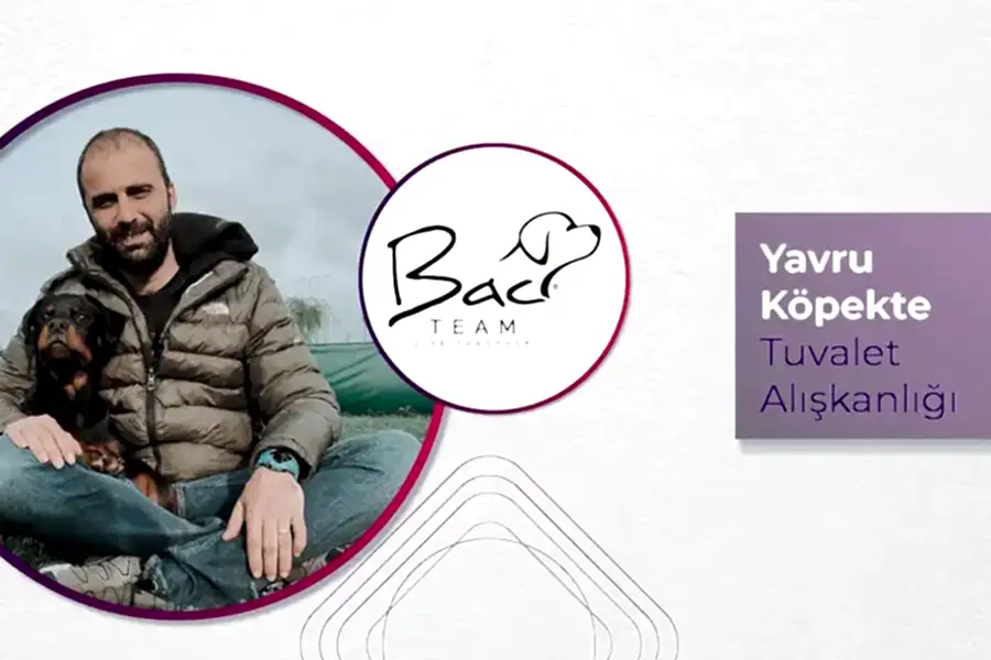 Yavru Köpekte Tuvalet Alışkanlığı