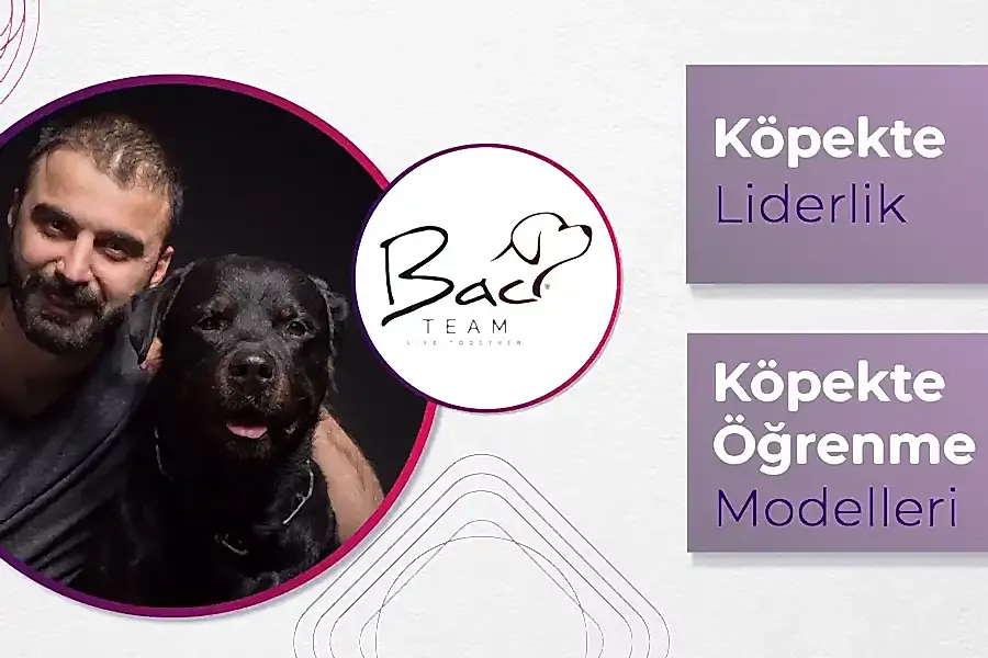 Köpekte Liderlik ve Öğrenme Modelleri